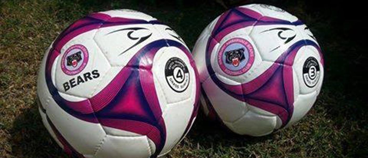 BAFC Soccer Balls